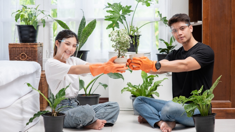 Home Advice DecadGarden: Smart Modern Living Guide
